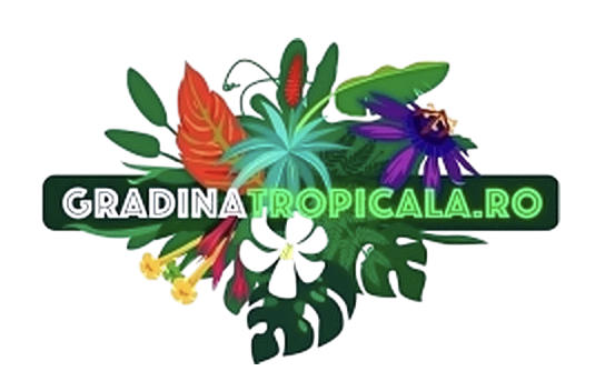 Gradina Tropicala